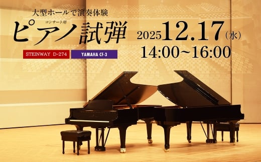 市川市文化会館大ホール　コンサート用ピアノ　スタインウェイD274　ヤマハCF3　2時間ピアノ試弾体験チケット　12月17日（水）14：00～16：00　【12203-0370-6】