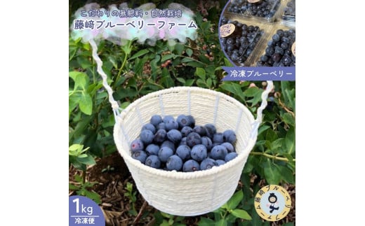 冷凍 ブルーベリー 1kg  国産ブルーベリー 千葉県産 酒々井町産 自然栽培 小分けパック 藤崎ブルーベリーファーム