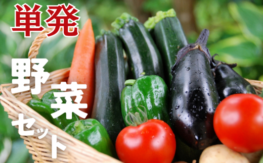 ＼ 農園直送 / 旬 の 採れたて野菜 詰め合わせ 野菜セット 野菜 野菜詰め合わせ 旬の野菜セット 旬の採れたて 酒々井 千葉 セット 季節の野菜 日用品