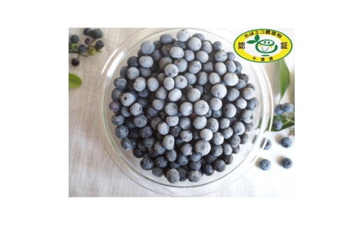 ＜栽培期間中農薬不使用＞大粒冷凍ブルーベリー 1kg「るりしずく」 千葉県 芝山町産【1350533】