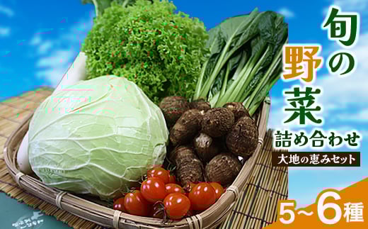 ＜空の駅 風和里しばやま＞旬野菜の詰め合わせ「大地の恵みセット」5～6種【1071777】
