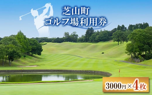 芝山町ゴルフ場利用券 4枚【1440403】