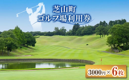 芝山町ゴルフ場利用券 6枚【1440420】