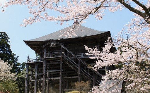 7．長南町におまかせ（使途の指定なし）