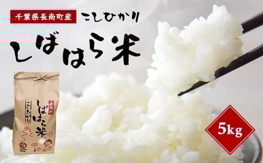 【9月中旬発送開始】【新米】令和7年産 千葉県産コシヒカリ「しばはら米」【精米】 5kg CNA001
