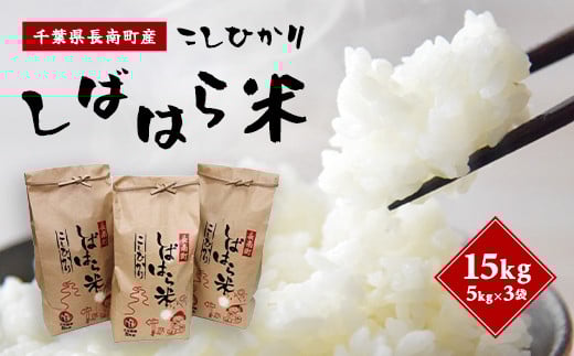 【9月中旬発送開始】【新米】令和7年産 千葉県産コシヒカリ「しばはら米」【精米】15kg(5kg×3) CNA002