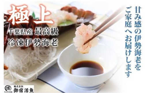 活〆生食用伊勢海老(冷凍)320g(150〜180g)×2匹