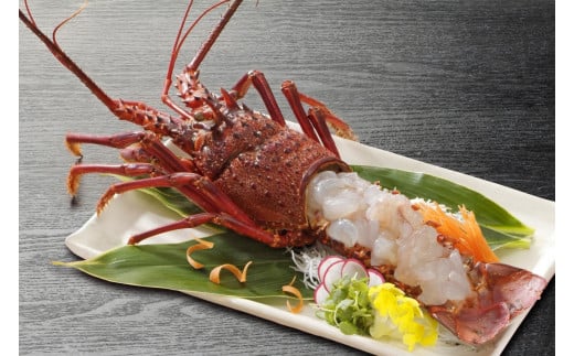 C114 冷凍伊勢えび1.1kg(300~400g×3匹入)