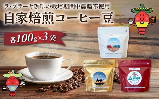 ラ・プラーヤ珈琲の『栽培期間中農薬不使用』自家焙煎コーヒー豆(100g×3袋) ONJM001 / コーヒー豆 コーヒー 豆 珈琲 栽培期間中農薬不使用 ブレンドコーヒー ブレンド ご当地 ご当地コーヒー 自家焙煎 ギフト 贈り物 プレゼント La Playa Coffee