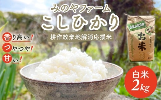 令和7年産新米 こしひかり 2kg(白米) みのやファーム 耕作放棄地解消応援米  【 コシヒカリ こしひかり おいしい お米 米 こめ 自然栽培 贈り物 ギフト 千葉県 御宿町 人気 おすすめ ランキング 】 ONJF001