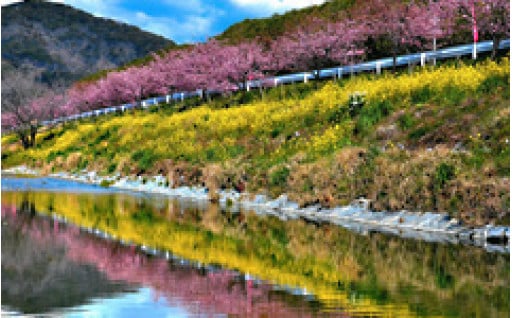 ③地域活性化・住環境整備に資する事業