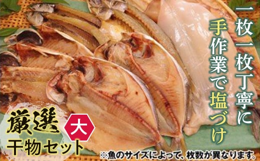 【手塩づけ】厳選干物セット(大) / 魚 ひもの 加工品 手塩づくり 千葉県 特産 鋸南町 提灯屋干物店 F22X-012