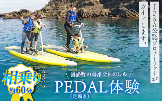 PEDAL(足漕ぎ)SUP体験(約60分) F22X-088