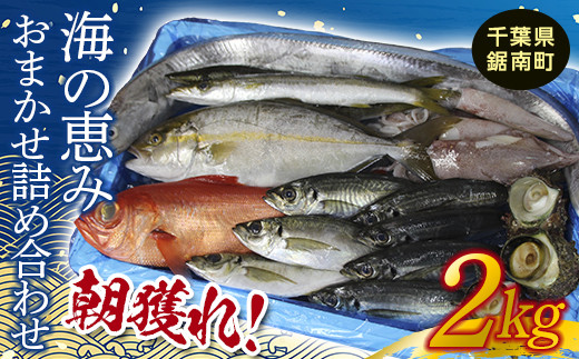 朝獲れ!海の恵みおまかせ詰め合わせセット 2kg F22X-114