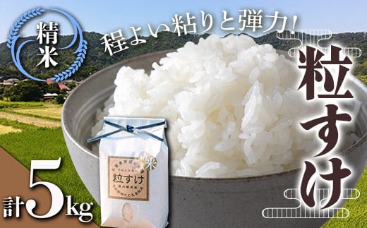 令和7年産米 新米 粒すけ 精米 5kg (5kg×1袋) 白米 お米 ご飯 米 千葉県 鋸南町 F22X-136