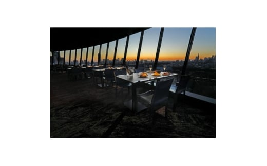 ホテルニューオータニ(東京)ビューアンドダイニング ザスカイ 平日ディナービュッフェ 1ドリンク付券【1641917】