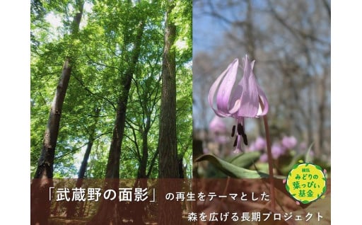 練馬みどりの葉っぴい基金
稲荷山の森コース（区民の森プロジェクト）