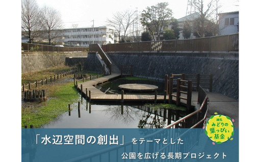 練馬みどりの葉っぴい基金
大泉井頭公園コース（区民の森プロジェクト）