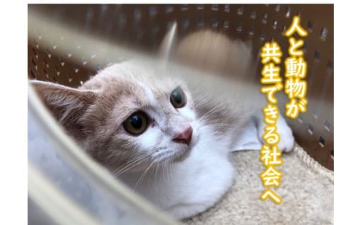 人も動物も！ともに幸せに生きられるまちを実現したい！