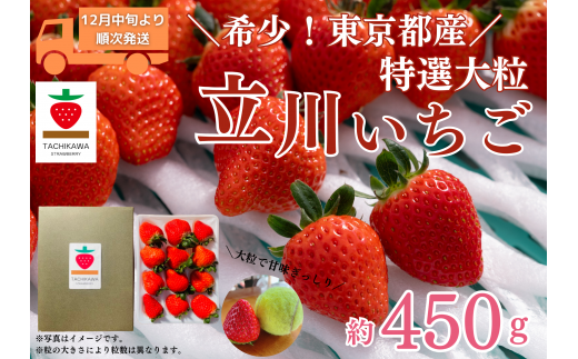 【希少!東京都産】特選大粒 立川いちご 1パック 約450g