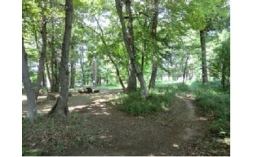 ふるさとのみどりと環境を守り育てる基金（地球温暖化対策、自然環境の保全や緑化の推進のために活用）