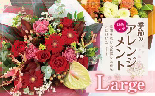 フラワー アレンジ 「Large」 お楽しみ 季節 の アレンジメント |  アレンジ タイプ 高さ約42cm 幅約40cm お花 flower フラワー ふらわー 花 はな リトルシード インテリア 植物 お任せ お見舞い ギフト お祝い 誕生日 親孝行 プレゼント贈り物 新鮮 調布  東京都