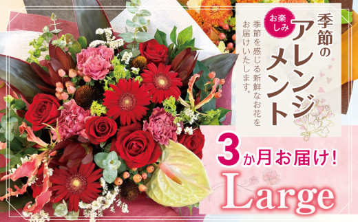 3か月 お届け お楽しみ! 季節 の アレンジメント 「Large」 | アレンジ タイプ 高さ約42cm 横幅約40cm お花 flower フラワー ふらわー 花 はな リトルシード インテリア 植物 定期 定期便 お任せ お見舞い ギフト お祝い 誕生日 親孝行 プレゼント贈り物 新鮮 調布 東京都