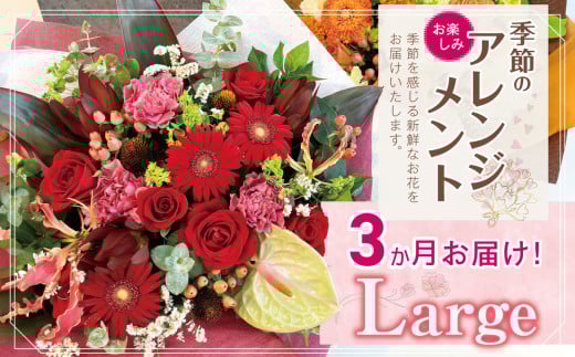 3か月 お届け お楽しみ！ 季節 の アレンジメント 「Large」 | アレンジ タイプ 高さ約42cm 横幅約40cm お花 flower フラワー ふらわー 花 はな リトルシード インテリア 植物 定期 定期便 お任せ お見舞い ギフト お祝い 誕生日 親孝行 プレゼント贈り物 新鮮 調布 東京都