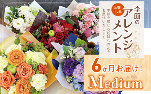 6か月 お届け お楽しみ! 季節 の アレンジメント 「Medium」 | アレンジ タイプ 高さ約26cm 横幅約23cm お花 flower フラワー ふらわー 花 はな リトルシード インテリア 植物 定期便 お任せ お見舞い ギフト お祝い 誕生日 親孝行 プレゼント贈り物 新鮮 調布  東京都