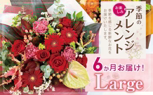 お楽しみ!6か月 お届け 季節のアレンジメント「Large」 |  アレンジ タイプ 高さ約42cm 横幅約40cm お花 flower フラワー ふらわー 花 はな リトルシード インテリア 植物 定期便 定期 お任せ お見舞い ギフト お祝い 誕生日 親孝行 プレゼント贈り物 新鮮 調布  東京都