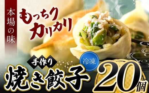 メディアで話題！ 地元野菜 ・ 国産素材 を使用 手作り 焼き餃子  ( 冷凍 ) 20個 【 手作り餃子の店 吉春 】 | 料理 食品 ぎょうざ ギョーザ 餃子 水餃子 冷凍餃子 人気 にんにく不使用 にんにくなし ニンニク不使用  食べ切り お惣菜 定番 もちもち つるつる お取り寄せ 豚肉 豚 小麦 北海道小麦 キャベツ にら しょうが 国産 グルメ 本場 麺点師 国領 調布 東京