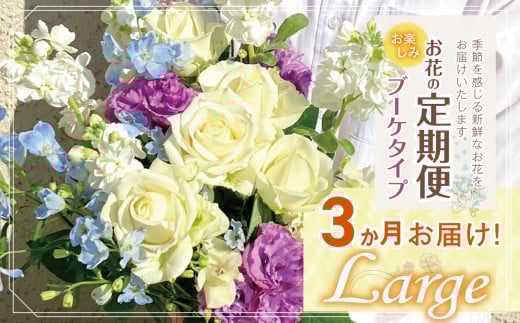 お楽しみ!3か月 お届け お花 の 定期便 「Large」 | ブーケ タイプ 高さ35-40cm 本数12-17本 flower フラワー ふらわー 花 はな リトルシード インテリア 植物 定期 お任せ お見舞い ギフト お祝い 誕生日 親孝行 プレゼント贈り物 新鮮 調布 東京都