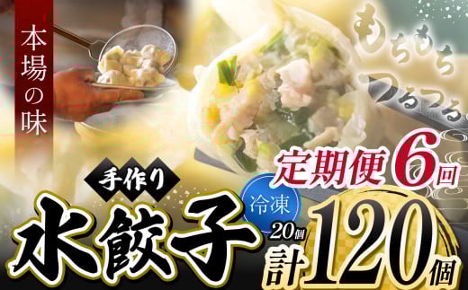 6回 定期便 地元野菜 ・ 国産素材 を使用 ニンニク不使用 手作り水餃子 ( 冷凍 ) 20個 【 手作り餃子の店 吉春 】 | 料理 食品 ぎょうざ ギョーザ 餃子 水餃子 冷凍餃子 人気 にんにく不使用 にんにくなし ニンニク不使用 食べ切り お惣菜 定番 もちもち つるつる お取り寄せ 豚肉 豚 小麦 北海道小麦 キャベツ にら しょうが 国産 グルメ 本場 麺点師 国領 調布 東京