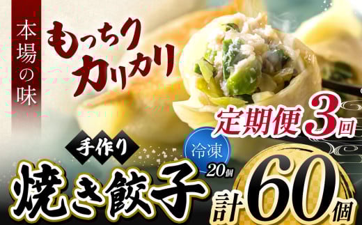 3回 定期便 地元野菜 ・ 国産素材 を使用  ニンニク不使用 手作り焼き餃子 ( 冷凍 ) 20個 【 手作り餃子の店 吉春 】 | 料理 食品 ぎょうざ ギョーザ 餃子 水餃子 冷凍餃子 人気 にんにく不使用 にんにくなし ニンニク不使用 食べ切り お惣菜 定番 もちもち カリカリ お取り寄せ 豚肉 豚 小麦 北海道小麦 キャベツ にら しょうが 国産 グルメ 本場 麺点師 国領 調布 東京