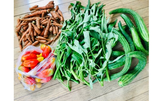 Bamboo Village Farm 自然栽培で育てた町田野菜セット