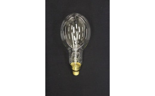 大型集魚灯インテリア電球(小)