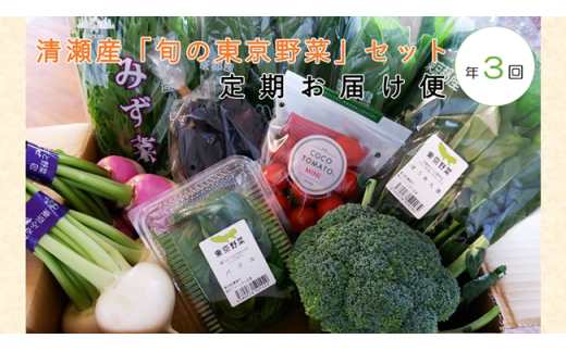 清瀬市産「旬の東京野菜」セット定期お届け便(年3回)