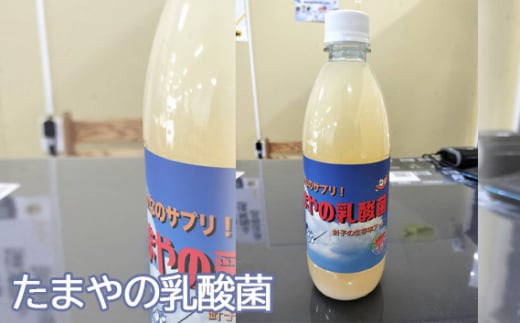 No.096 たまやの乳酸菌 500ml / 液体エサ 小型淡水魚用 グッドアクアリウムデザイン賞 東京都
