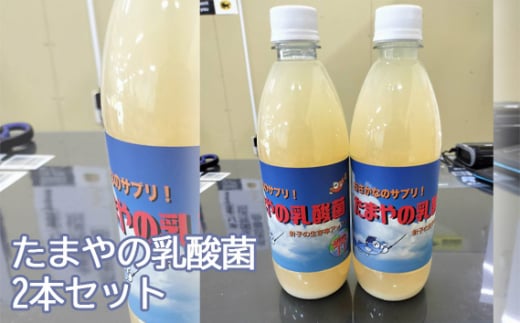 No.099 たまやの乳酸菌 500ml 2本セット / 液体エサ 小型淡水魚用 グッドアクアリウムデザイン賞 東京都