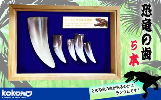 No.114 恐竜 歯のレプリカ(セット) / 化石 パーツ 子供 ティラノサウルス 東京都