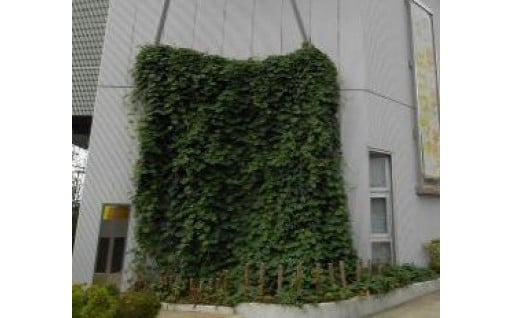 7．地球温暖化防止対策によるまちづくり