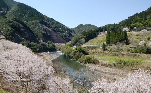 令和の桃源郷づくり