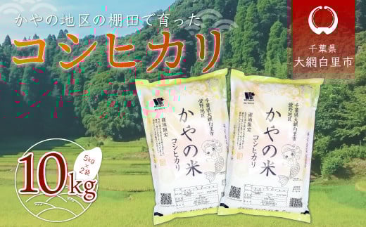 令和6年産 千葉県大網白里市萱野地区産「コシヒカリ」10kg（5kg×2袋） お米 10kg 千葉県産 大網白里市 コシヒカリ 米 精米 こめ 送料無料 A001