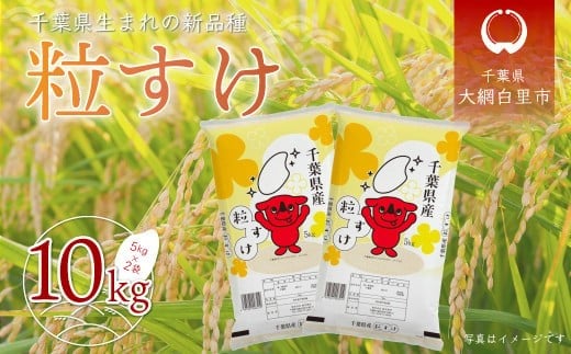 令和7年産 千葉県産「粒すけ」10kg（5kg×2袋） お米 10kg 千葉県産 大網白里市 粒すけ 米 精米 こめ 送料無料 A006