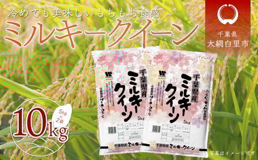 令和7年産 千葉県産「ミルキークイーン」10kg（5kg×2袋） お米 10kg 千葉県産 大網白里市 ミルキークイーン 米 精米 こめ 送料無料