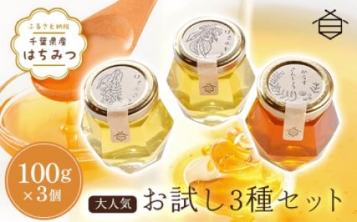 千葉県産はちみつ【大人気お試し3種セット 】100g×3個 ふるさと納税 ハチミツ 蜂蜜 はちみつ 千葉 大網白里市 送料無料