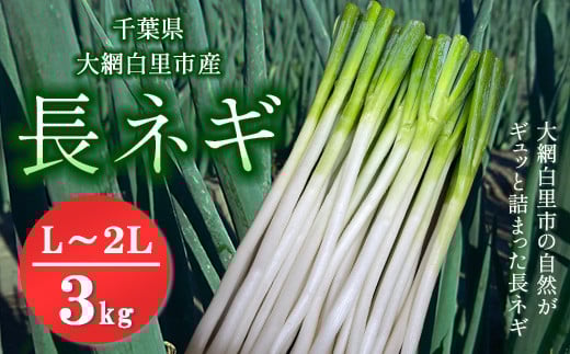 ★先行予約★【2025年12月発送開始予定】千葉県大網白里市産　長ネギ　L～2Lサイズ　3㎏（約18本～27本）／ふるさと納税 長ネギ 長ねぎ 長葱 ネギ ねぎ 葱 野菜 鍋 先行予約 先行受付 千葉県 大網白里市 AV002