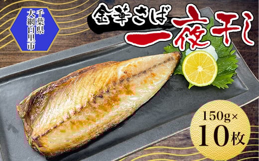 金華さば一夜干し 150g×10枚(b002-01)  ふるさと納税 金華さば 一夜干し  さば サバ 千葉県 大網白里市 AJ004