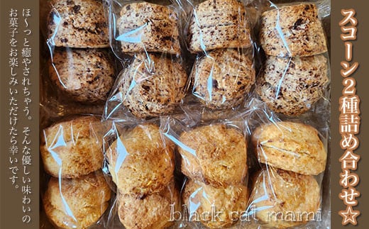 スコーン2種詰め合わせ☆ ふるさと納税 焼菓子 詰め合わせ ギフト 千葉県 大網白里市 送料無料 AM002