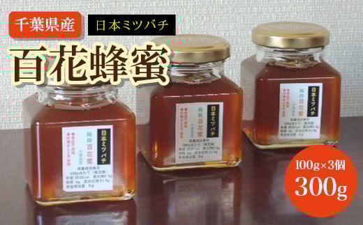 千葉県産　日本みつばち百花蜂蜜　300g（100ｇ×3個） ふるさと納税  蜂蜜 日本みつばち 百花蜂蜜 はちみつ ハチミツ ミツバチ 千葉県 大網白里市 AP002